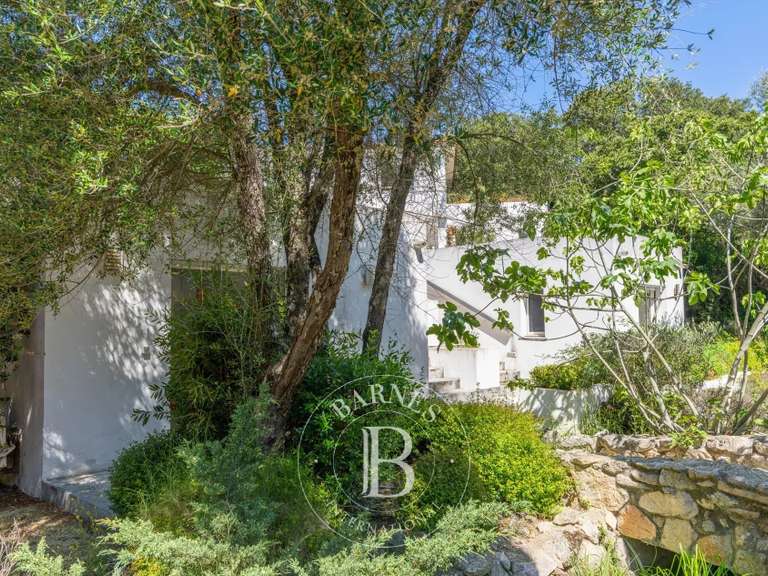 Villa Lecci - 5 chambres - 220m²