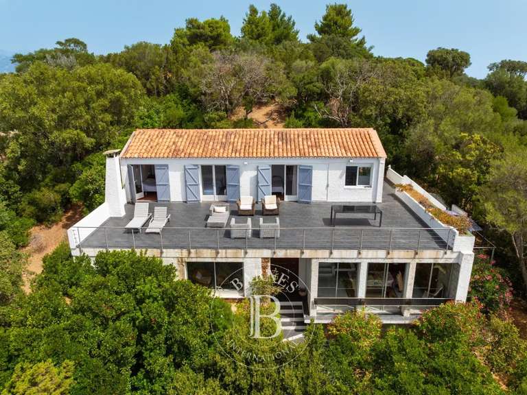 Villa Lecci