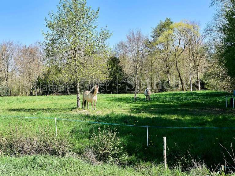 Maison Lecelles - 5 chambres - 452m²