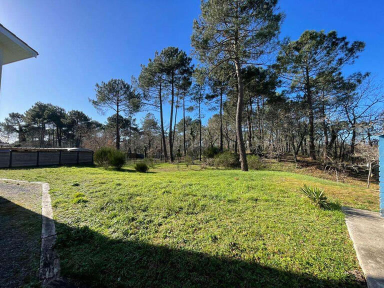 House Lège-Cap-Ferret - 4 bedrooms