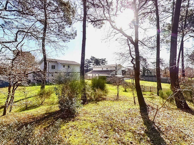 House Lège-Cap-Ferret - 4 bedrooms