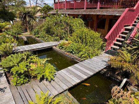 Property Lège-Cap-Ferret - 8 bedrooms