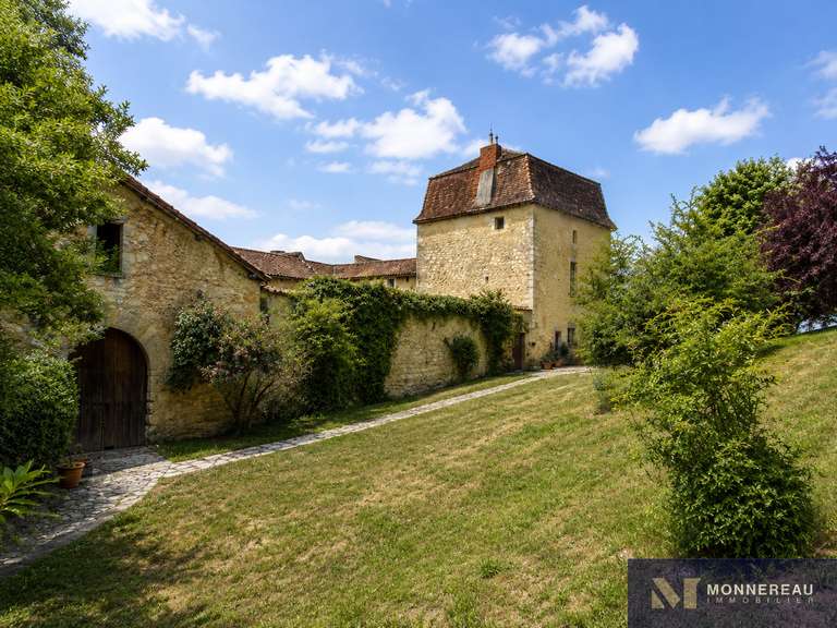 Château Léguillac-de-l'Auche - 10 chambres - 674m²