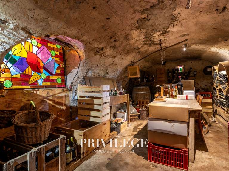 Maison Lentilly - 5 chambres - 304m²