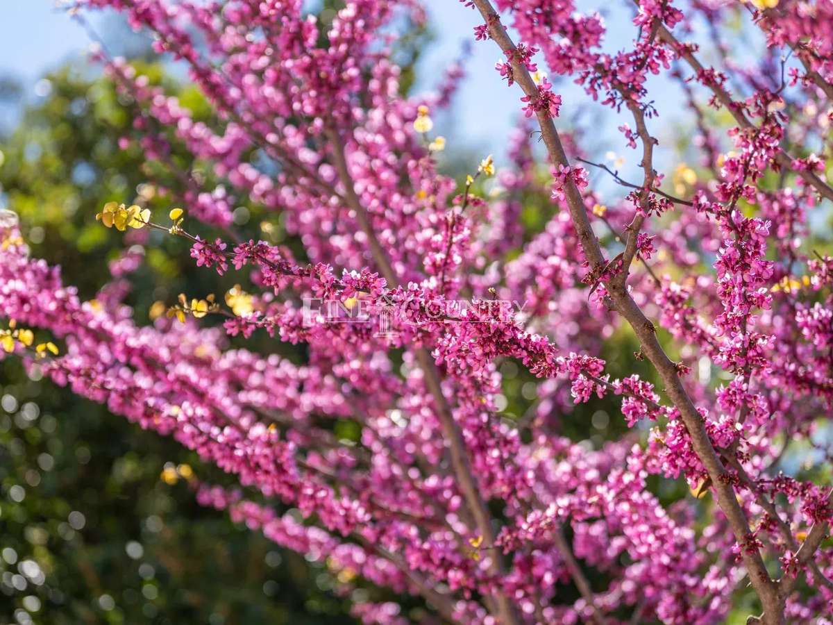 Villa Les Adrets-de-l'Estérel