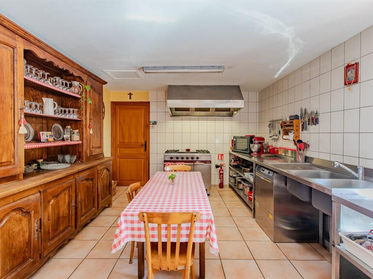 Moulin Les Ardillats - 13 chambres - 710m²