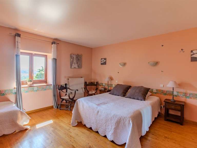 Moulin Les Ardillats - 13 chambres - 710m²