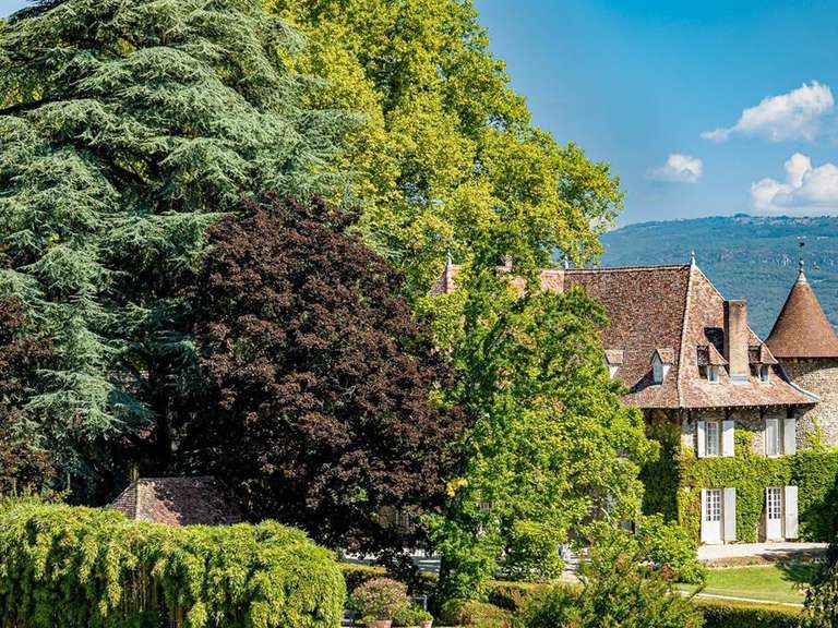 Château Les Avenières - 12 chambres - 820m²