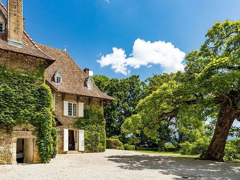 Château Les Avenières - 12 chambres - 820m²
