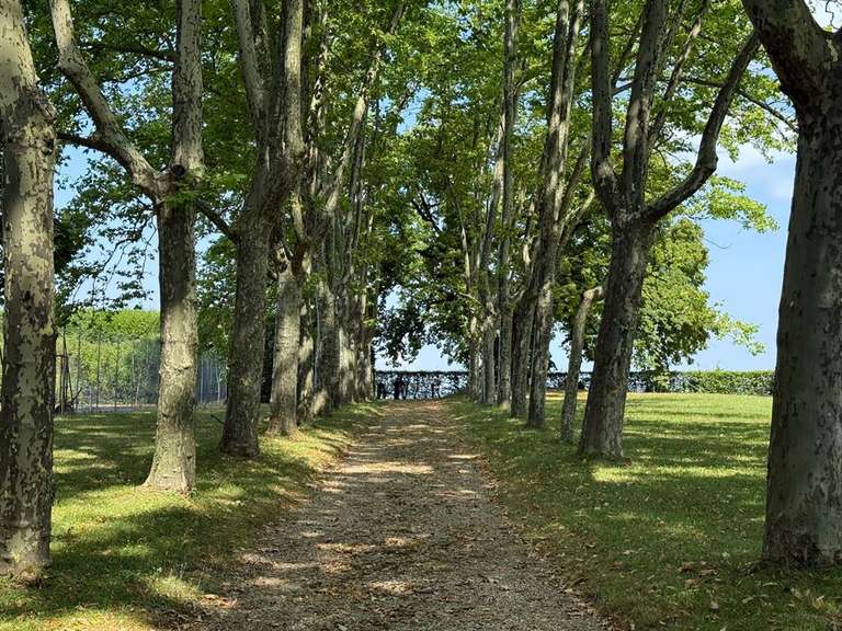 Château Les Avenières - 12 chambres - 820m²