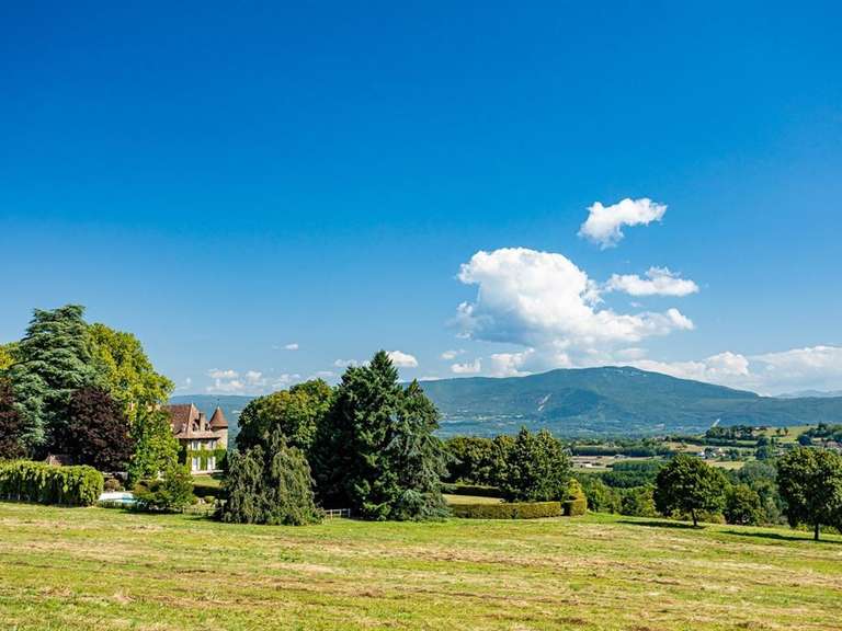 Château Les Avenières - 12 chambres - 820m²