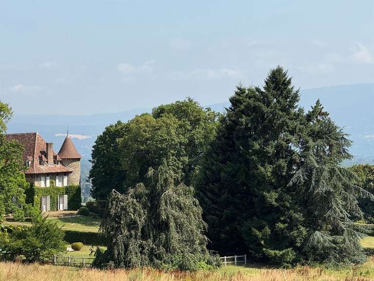 Château Les Avenières - 12 chambres - 820m²