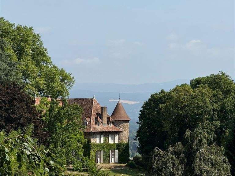 Château Les Avenières - 12 chambres - 820m²
