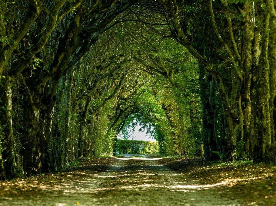 Château Les Avenières