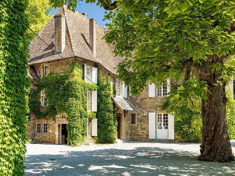 Château Les Avenières - 12 chambres - 820m²