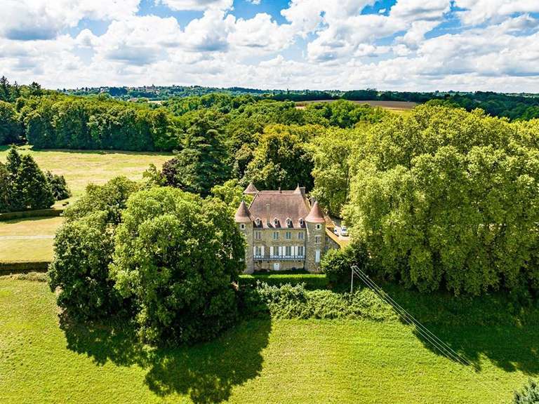 Château Les Avenières - 12 chambres - 820m²