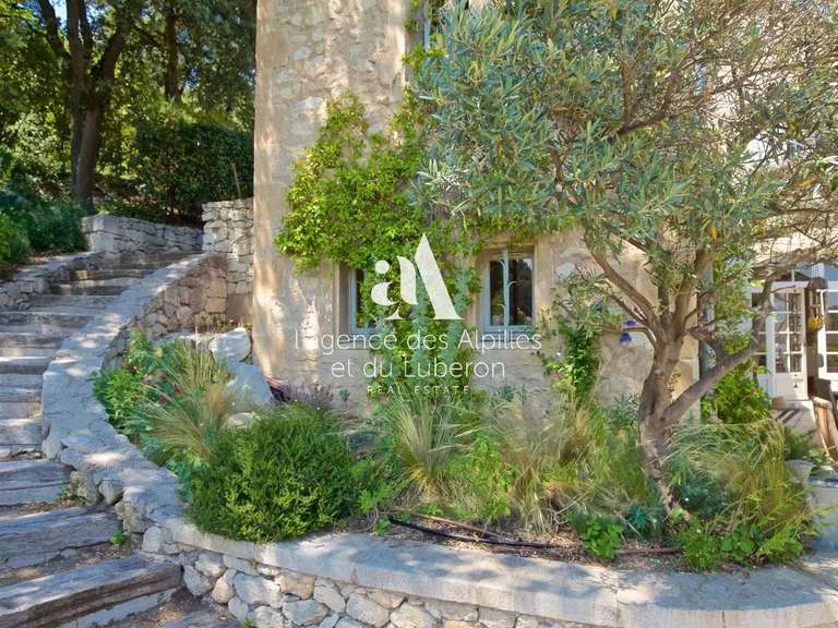 House Les Baux-de-Provence - 6 bedrooms - 12000m²
