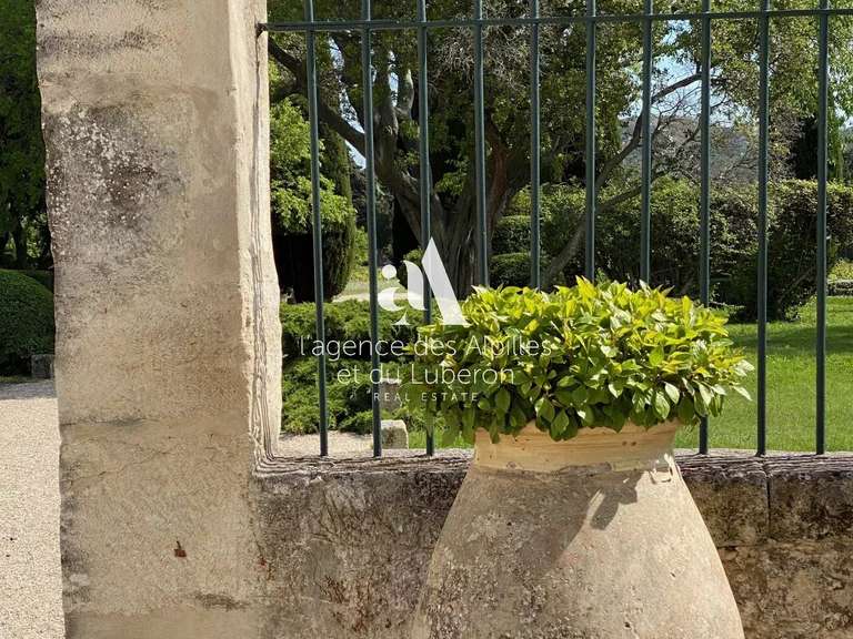House Les Baux-de-Provence - 7 bedrooms - 20000m²
