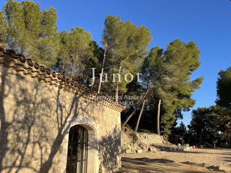 Maison Les Baux-de-Provence - 5 chambres - 250m²