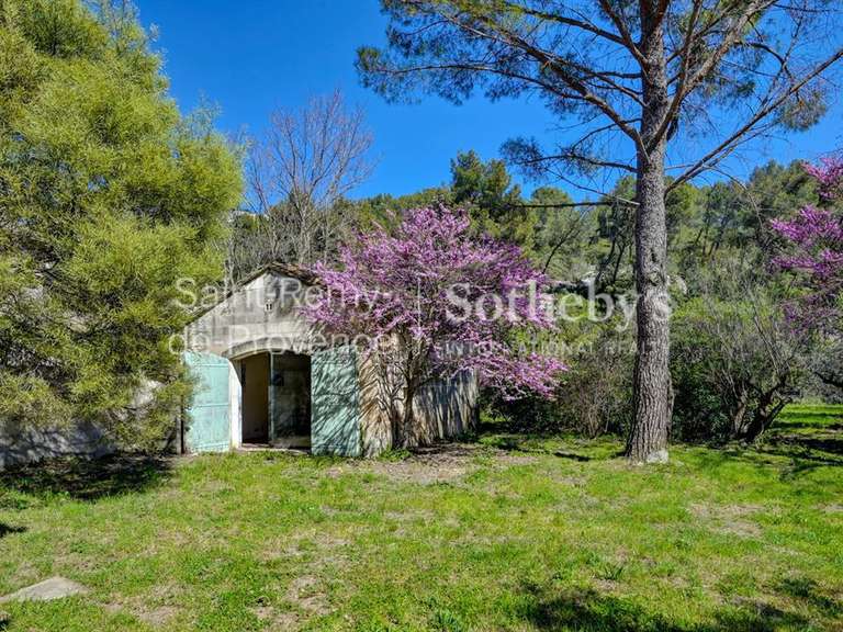 Maison Les Baux-de-Provence - 6 chambres - 395m²