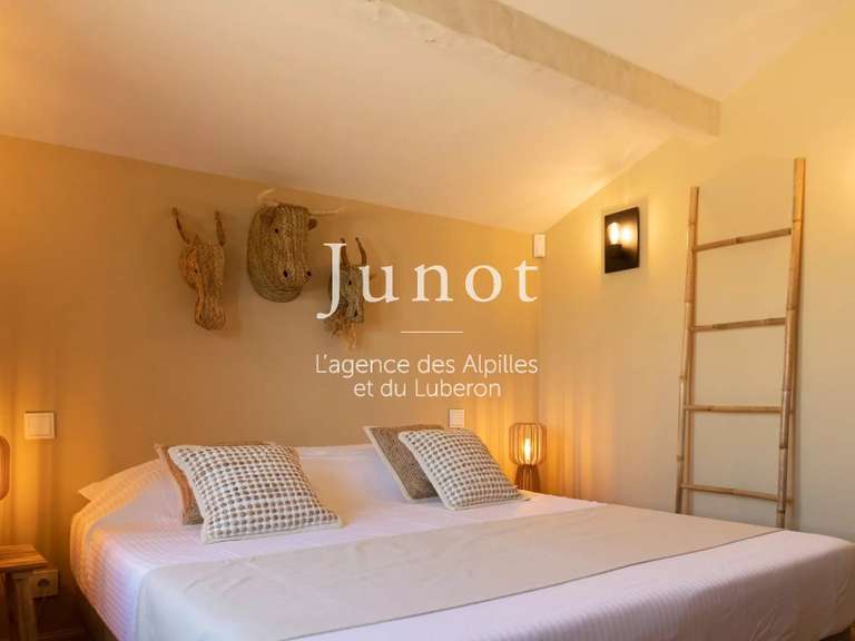 House Les Baux-de-Provence - 4 bedrooms - 2000m²