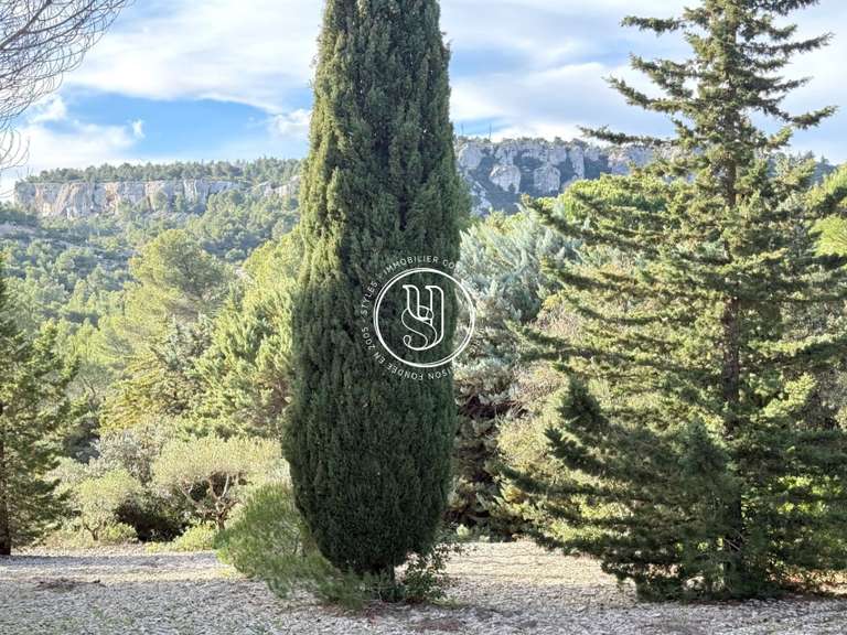 Villa Les Baux-de-Provence - 3 chambres - 220m²