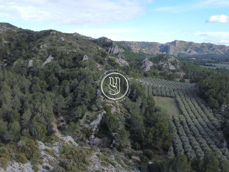 Villa Les Baux-de-Provence - 3 bedrooms - 220m²