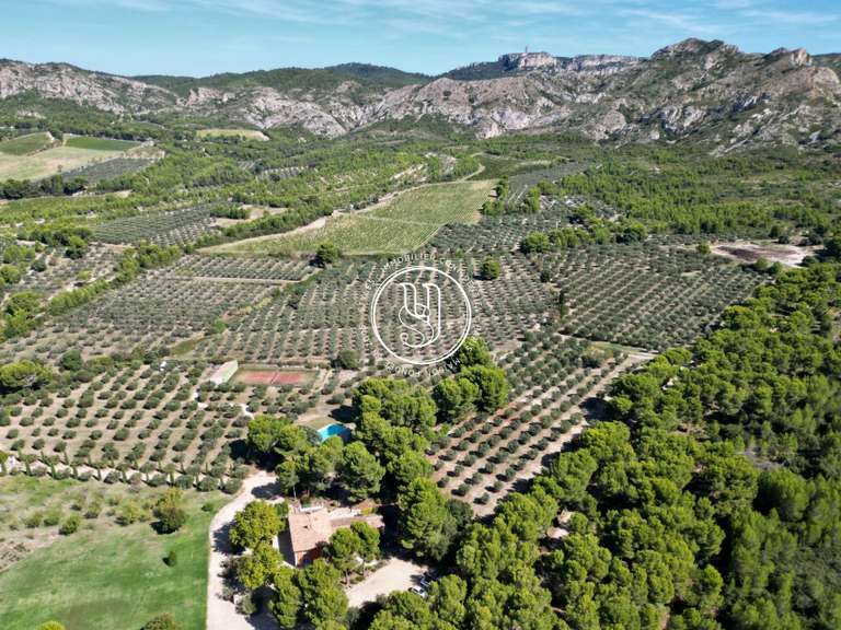 Villa Les Baux-de-Provence - 7 chambres - 478m²