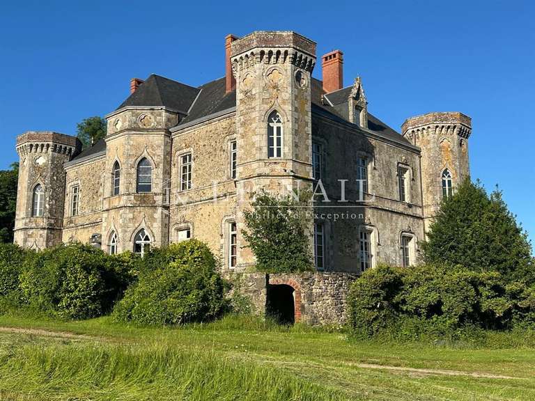 Château Les Epesses - 5 chambres - 668m²