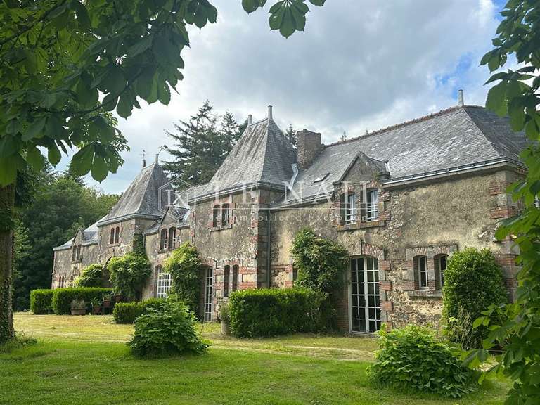 Château Les Epesses - 5 chambres - 668m²