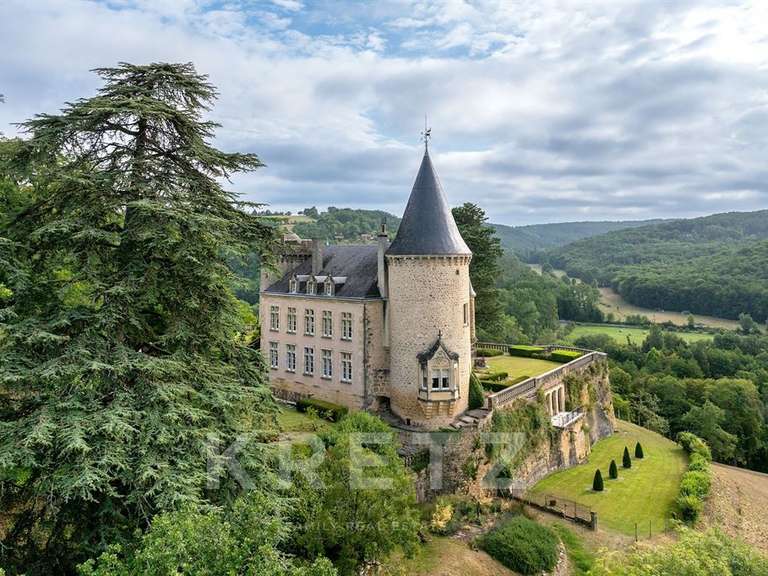 Castle Les Eyzies - 23 bedrooms - 2700m²
