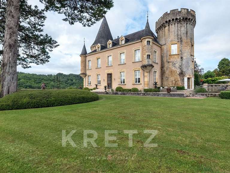 Castle Les Eyzies - 23 bedrooms - 2700m²