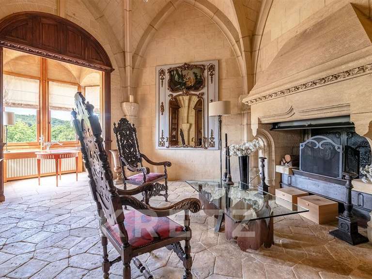 Castle Les Eyzies - 23 bedrooms - 2700m²