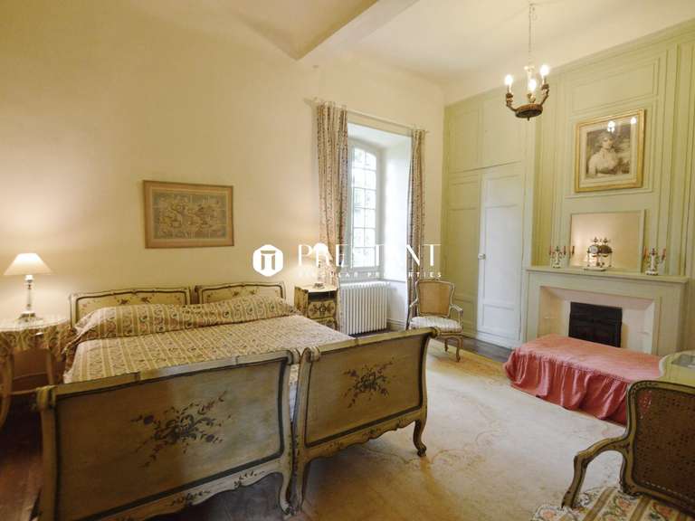 Château Les Eyzies-de-Tayac-Sireuil - 5 chambres - 450m²