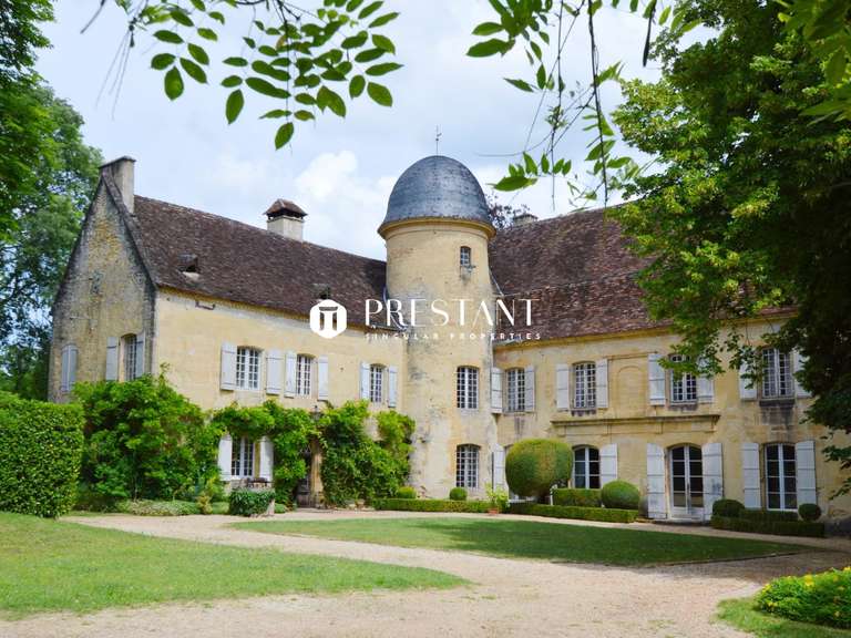 Château Les Eyzies-de-Tayac-Sireuil - 5 chambres - 450m²
