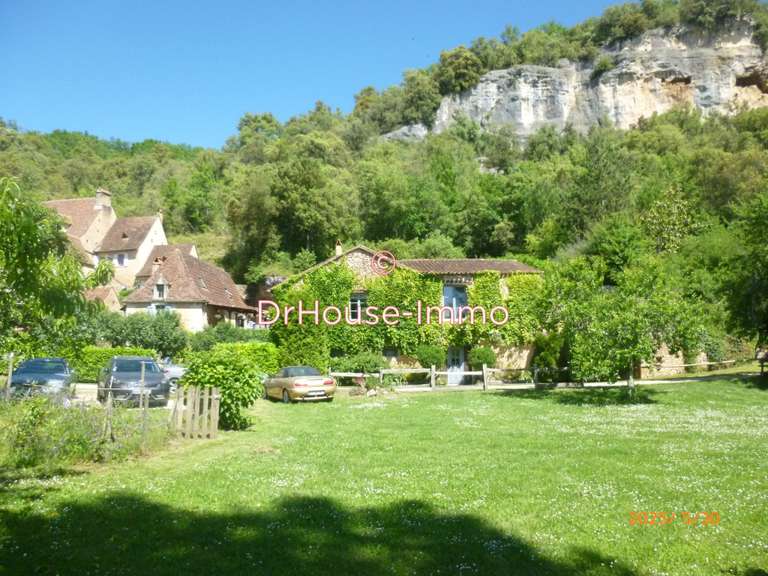 Villa Les Eyzies-de-Tayac-Sireuil - 5 chambres - 244m²