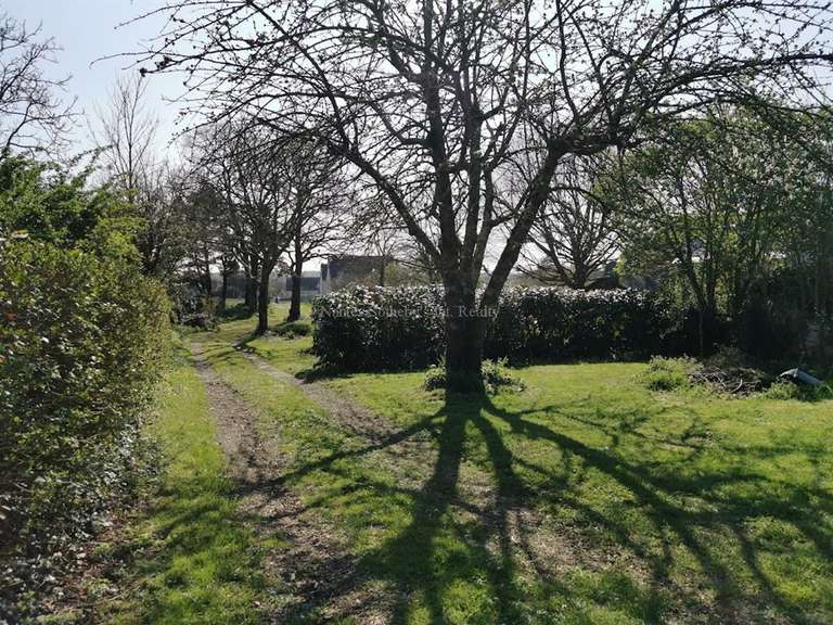 Maison Les Garennes-sur-Loire - 5 chambres - 280m²