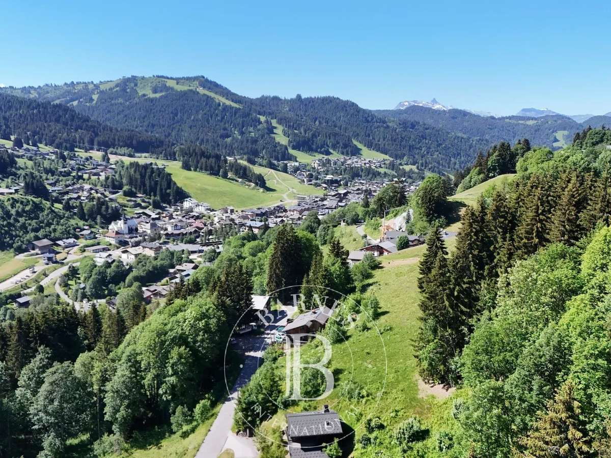 Chalet Les Gets