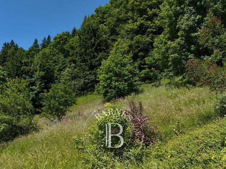 Terrain Les Gets - 1008m²