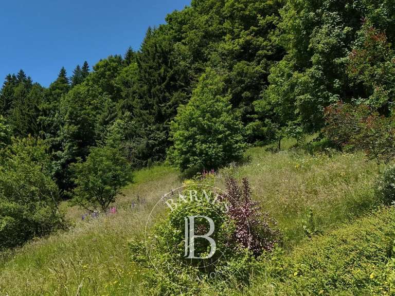 Terrain Les Gets - 1008m²