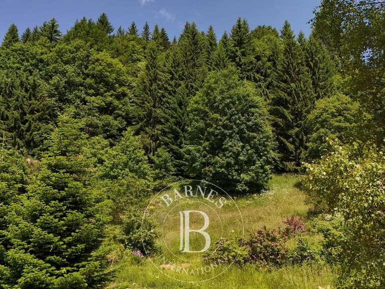Terrain Les Gets - 1008m²