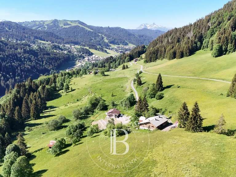 Terrain Les Gets - 1633m²