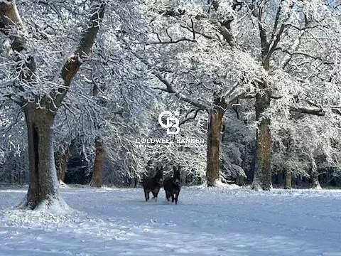 Château Les Herbiers
