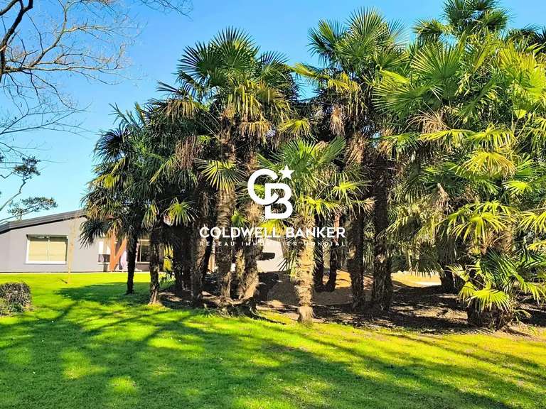 House Les Herbiers - 4 bedrooms - 315m²
