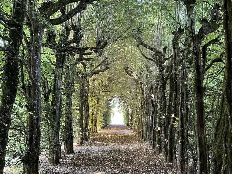 Manoir Les Herbiers - 7 chambres - 380m²