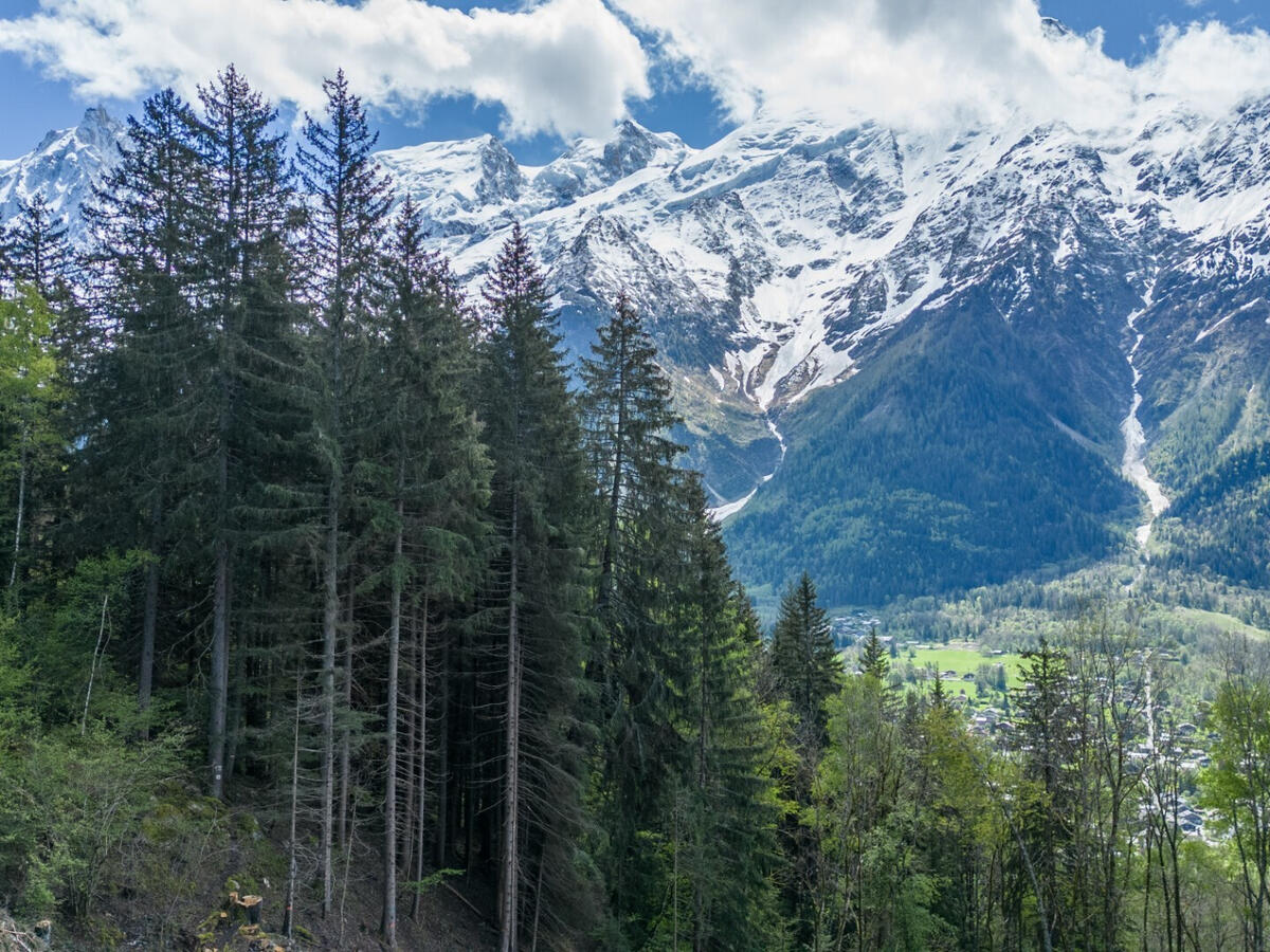 Chalet Les Houches