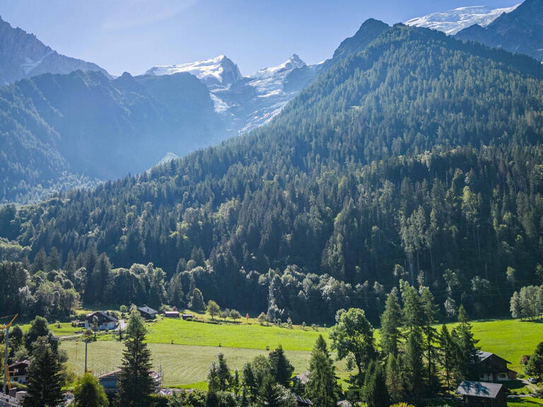 Chalet Les Houches - 5 chambres - 220m²