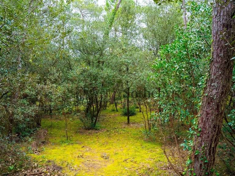 Terrain Les Mathes - 1550m²