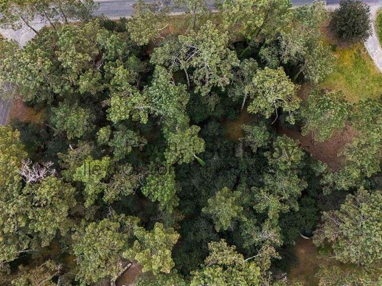 Terrain Les Mathes - 1550m²