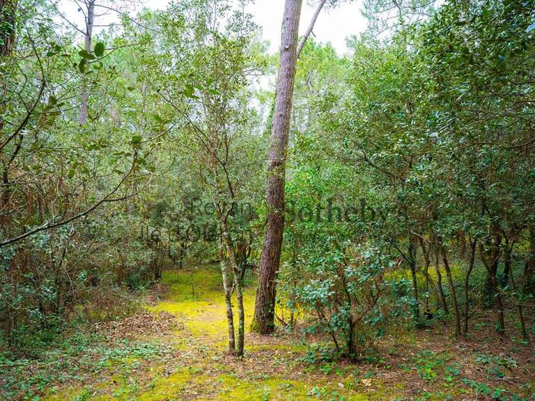 Terrain Les Mathes - 1550m²